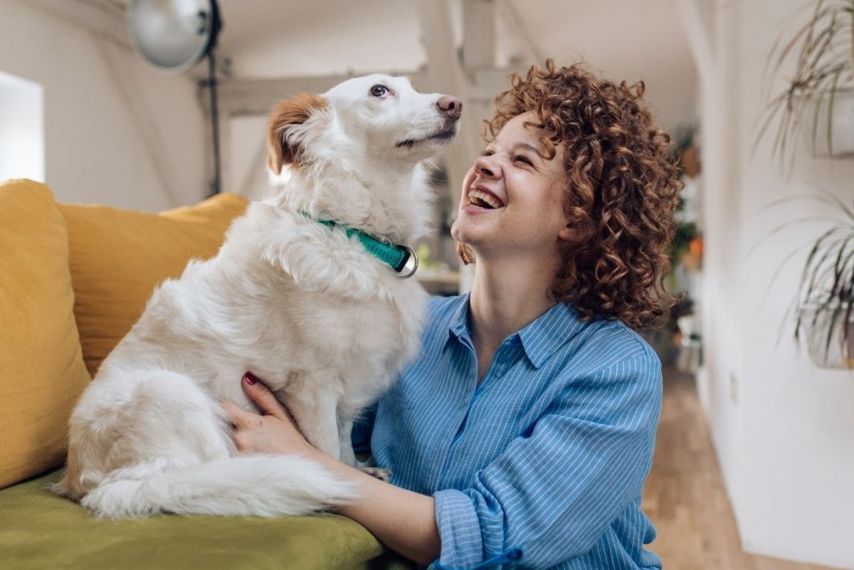 Como adaptar sua casa para receber um novo pet: preparativos para segurança e conforto
