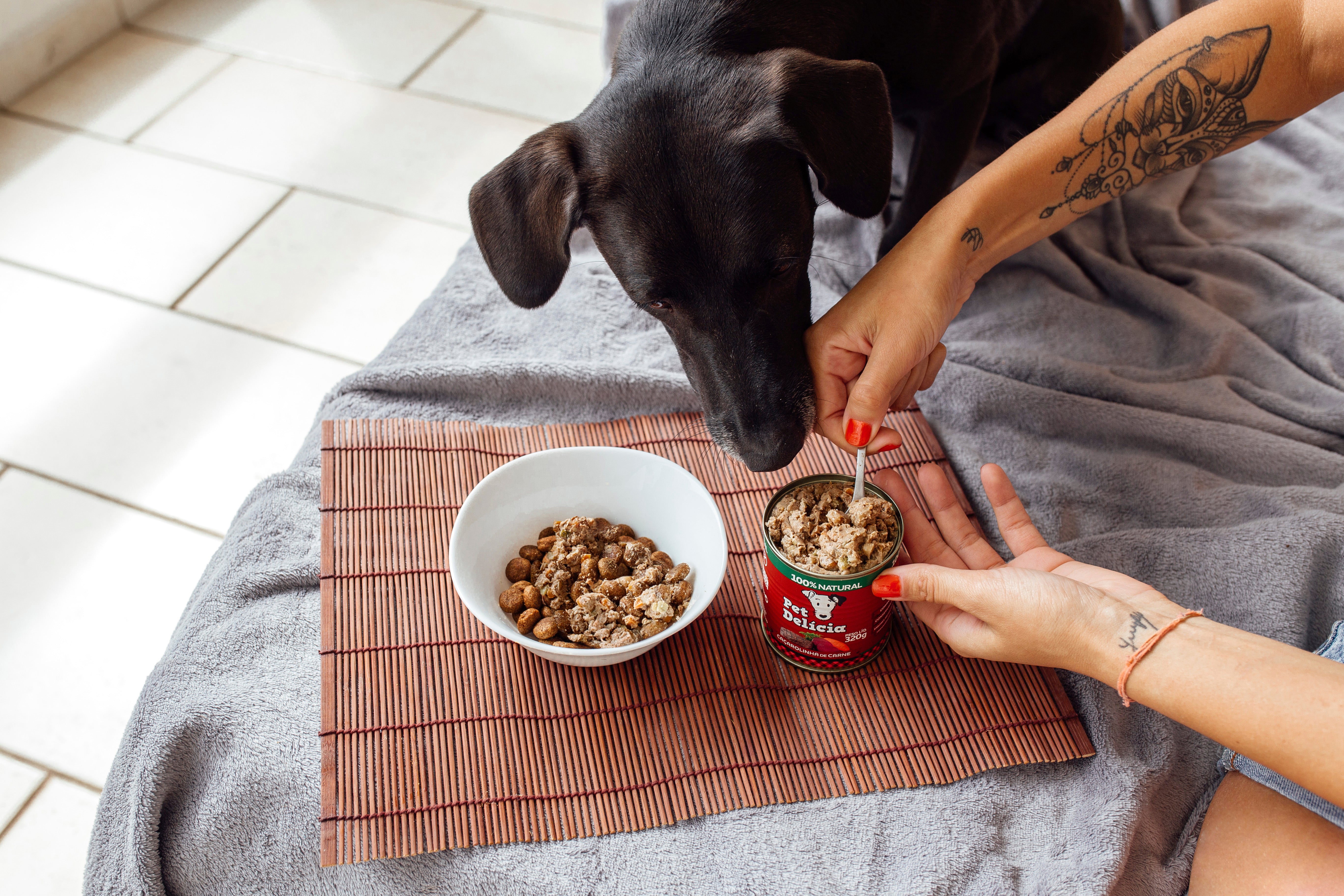 Maneiras de utilizar alimento natural Pet Delícia