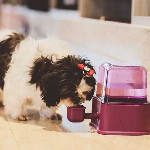 Bebedouro Automático para Cachorro Petlon Verde