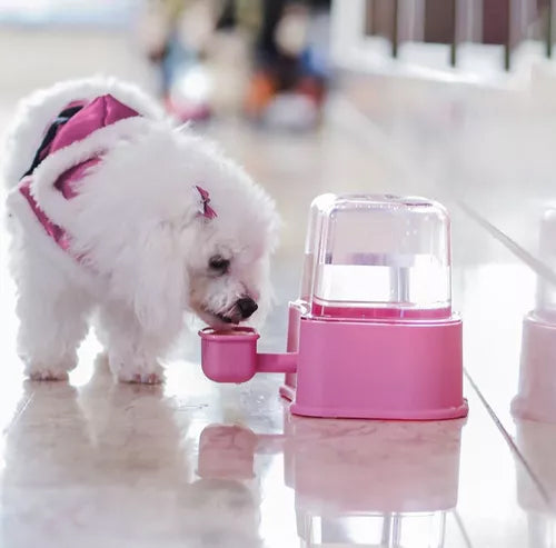 Bebedouro Automático para Cachorro Petlon Lilás