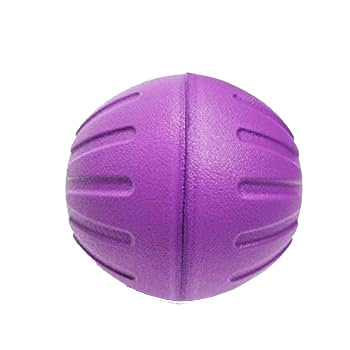 Brinquedo Jambo Mordedor Bola Strong Ball Roxo Grande