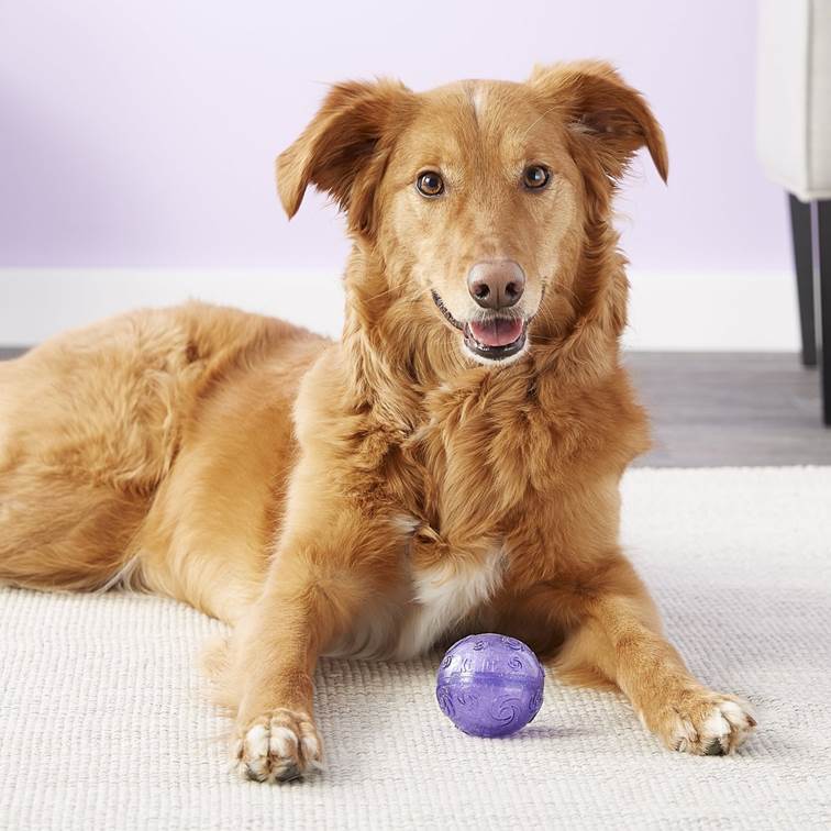 Brinquedo para Cachorro Kong Squezz Crackle Ball Extra Large