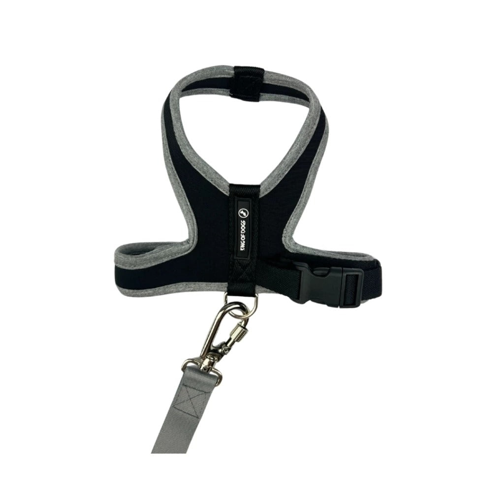 Peitoral King Of Dogs Neoprene Slim Dog Silver Preto PP