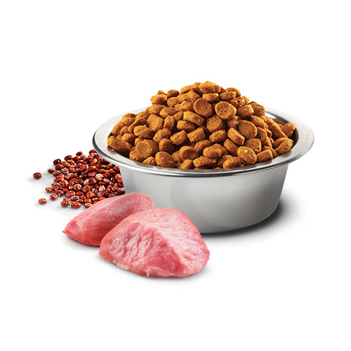 Ração N&D Quinoa Cães Adultos Mini Controle de Peso Suíno 800g