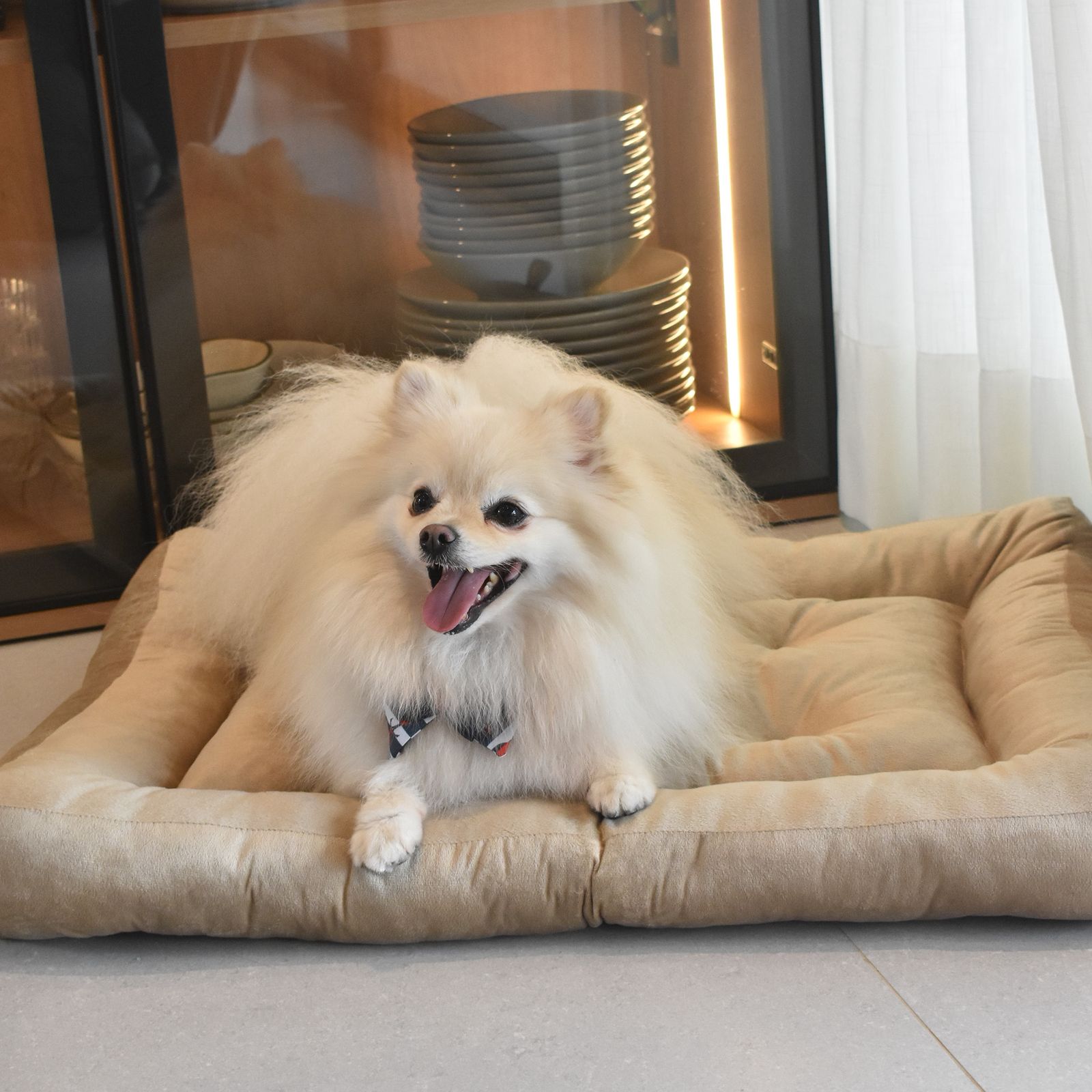 Cama para Cachorro Ferpa Pets Colchonete Quadrado Bege M