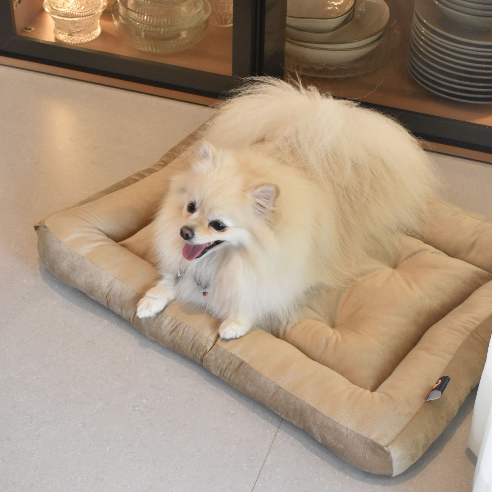 Cama para Cachorro Ferpa Pets Colchonete Quadrado Bege M