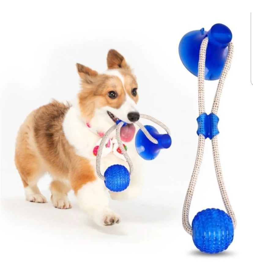 Brinquedo Mordedor Suction Ball Jambo Azul para Cães