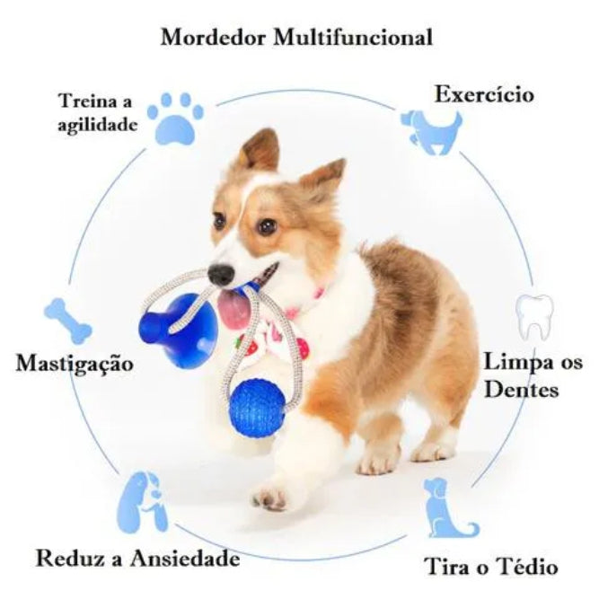 Brinquedo Mordedor Suction Ball Jambo Azul para Cães