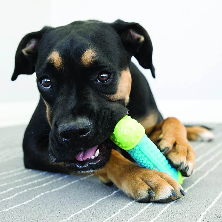 Brinquedo para Cachorro KONG Corestrength Bone Médio/Grande