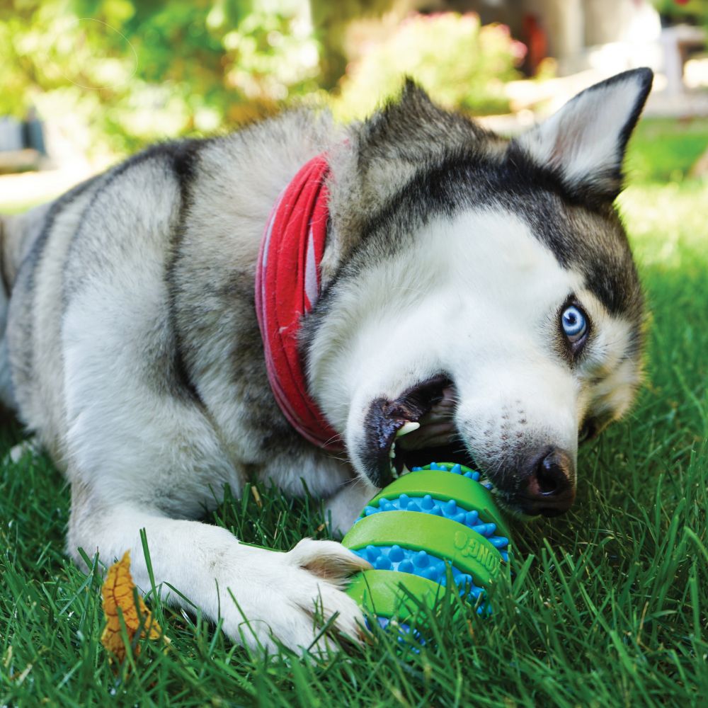 Brinquedo para Cachorro KONG Squeezz Goomz Ball Grande