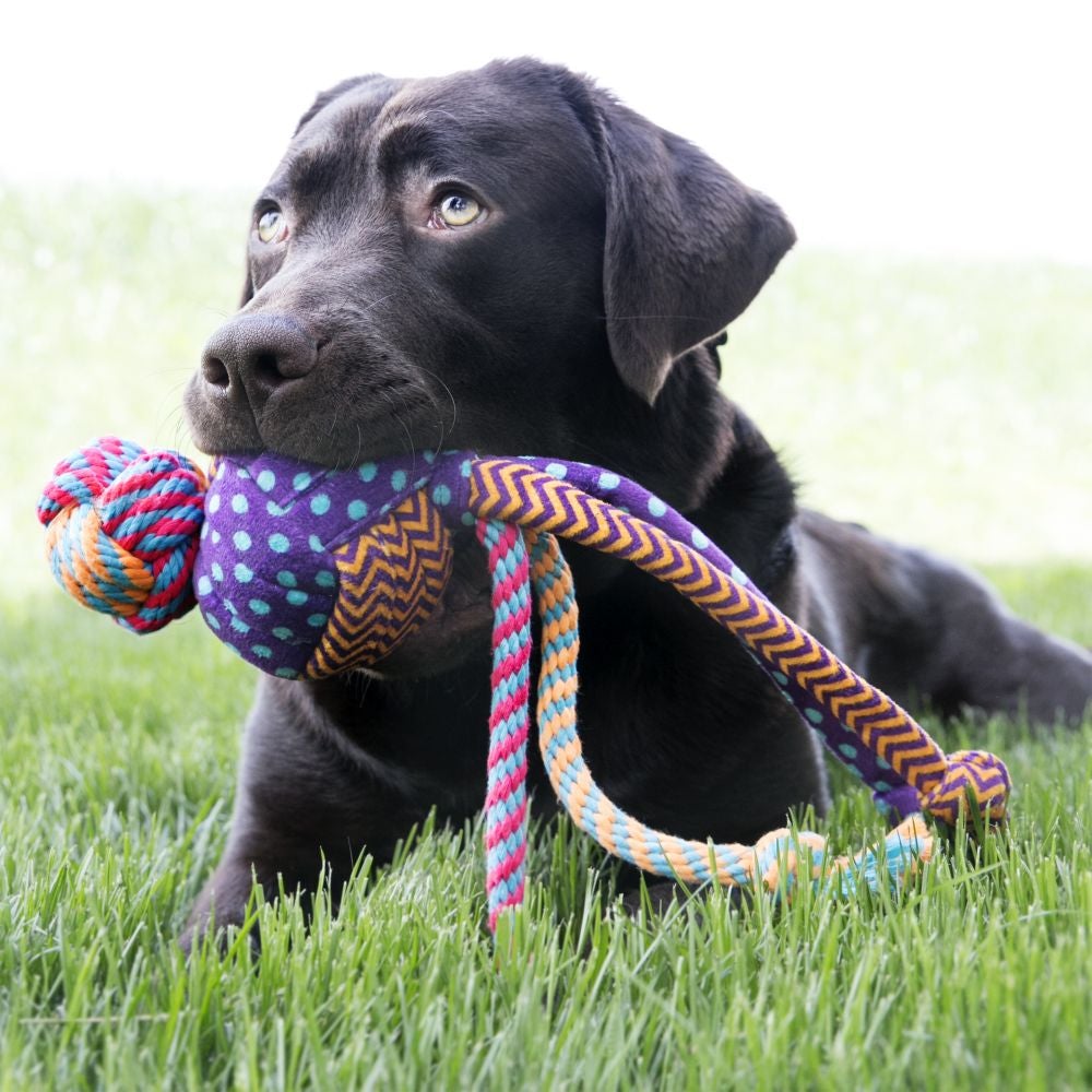 Brinquedo para Cachorro KONG Wubba Medley Small