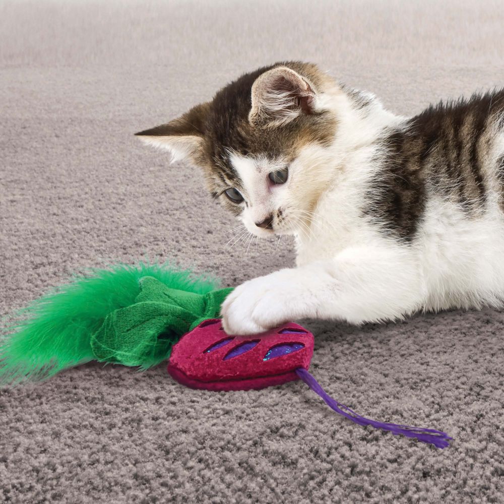 Brinquedo para Gato KONG Crackles Rootz Assorted