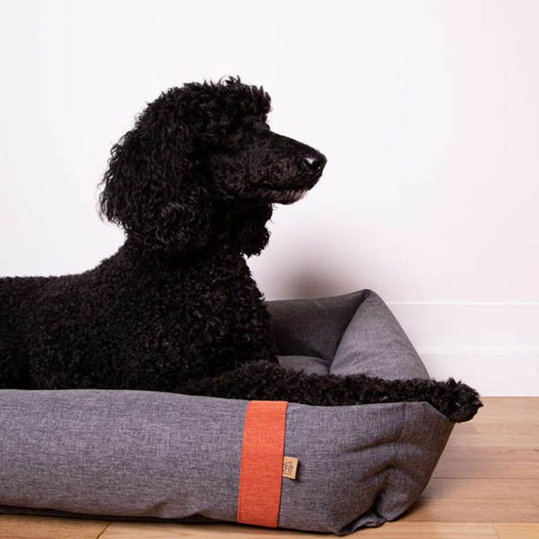 Cama Fábrica Pet Lona Cinza EXG