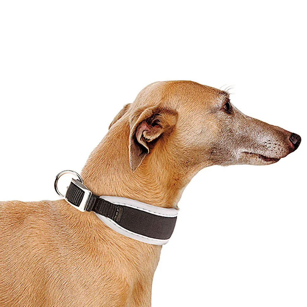 Coleira Ergocomfort para Galgos Ferplast CW 20/39 Cinza