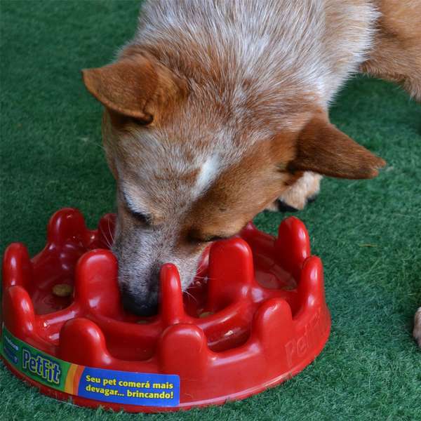 Comedouro Lento PetFit Pet Games Vermelho