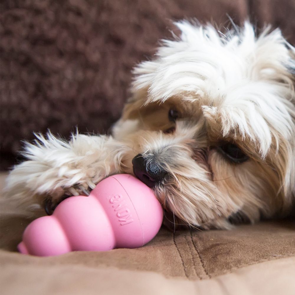 Brinquedo para Cachorro Kong Puppy Pequeno