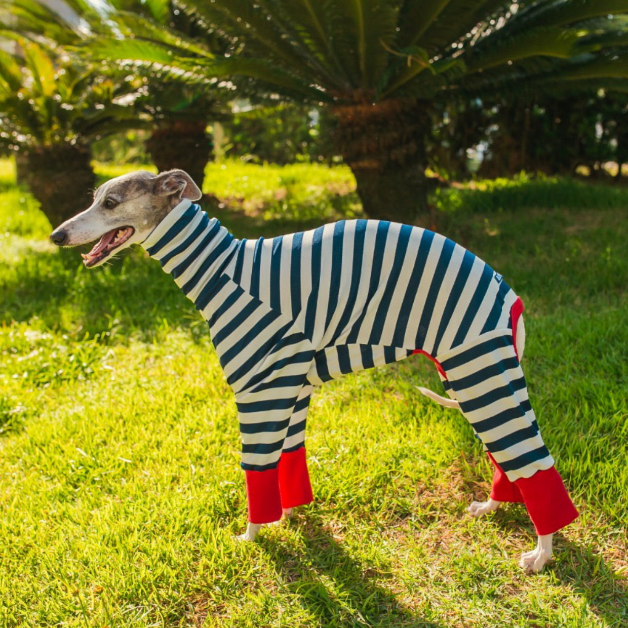 Macacão Listrado para Galgo Vermelho P