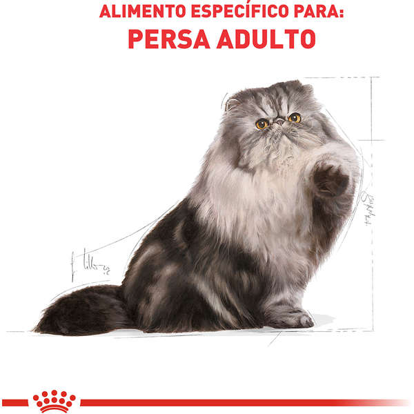 Ração Royal Canin Persa Gatos Adultos 7,5kg