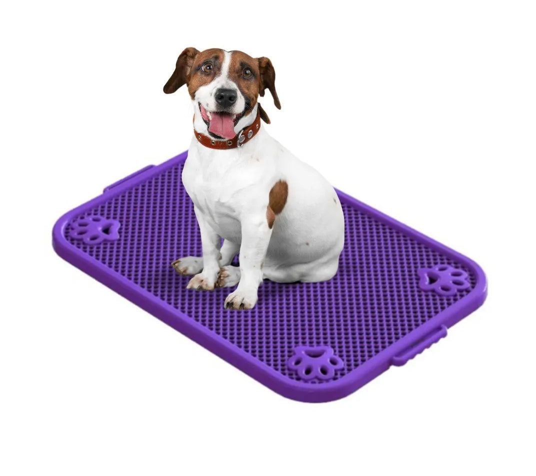 Sanitário Canino MMA Pet Azul