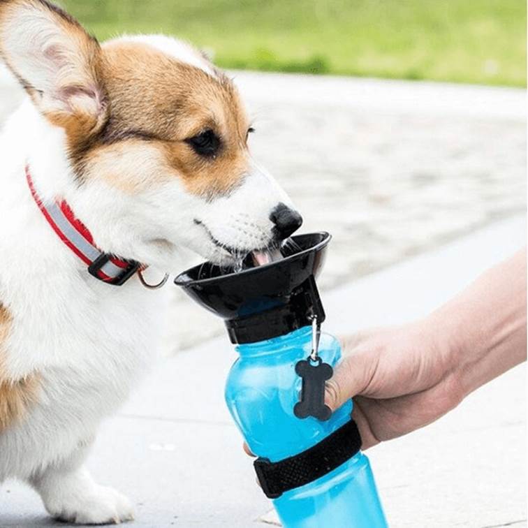 Garrafa Portátil para Cachorro Acqua Dog Squeeze Azul