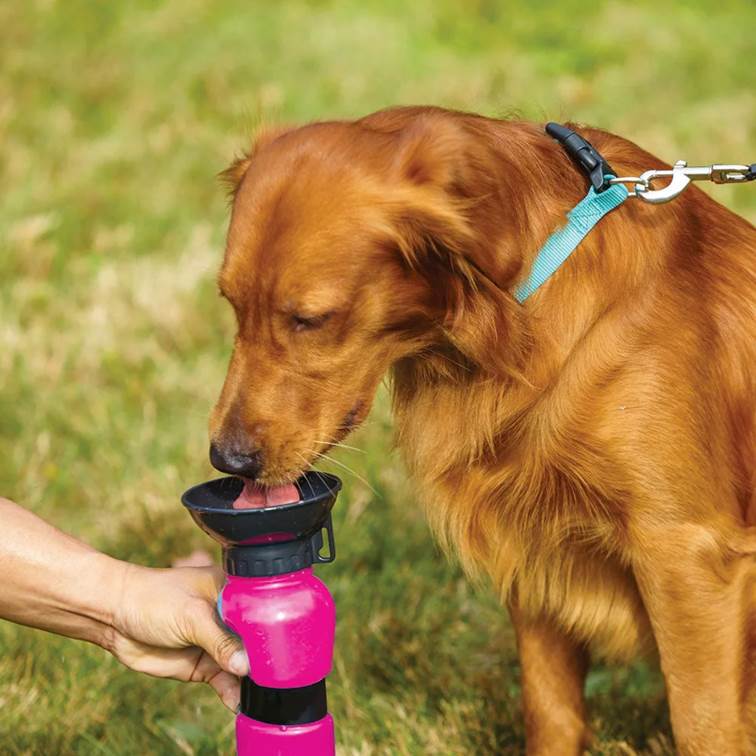 Garrafa Portátil para Cachorro Acqua Dog Squeeze Rosa