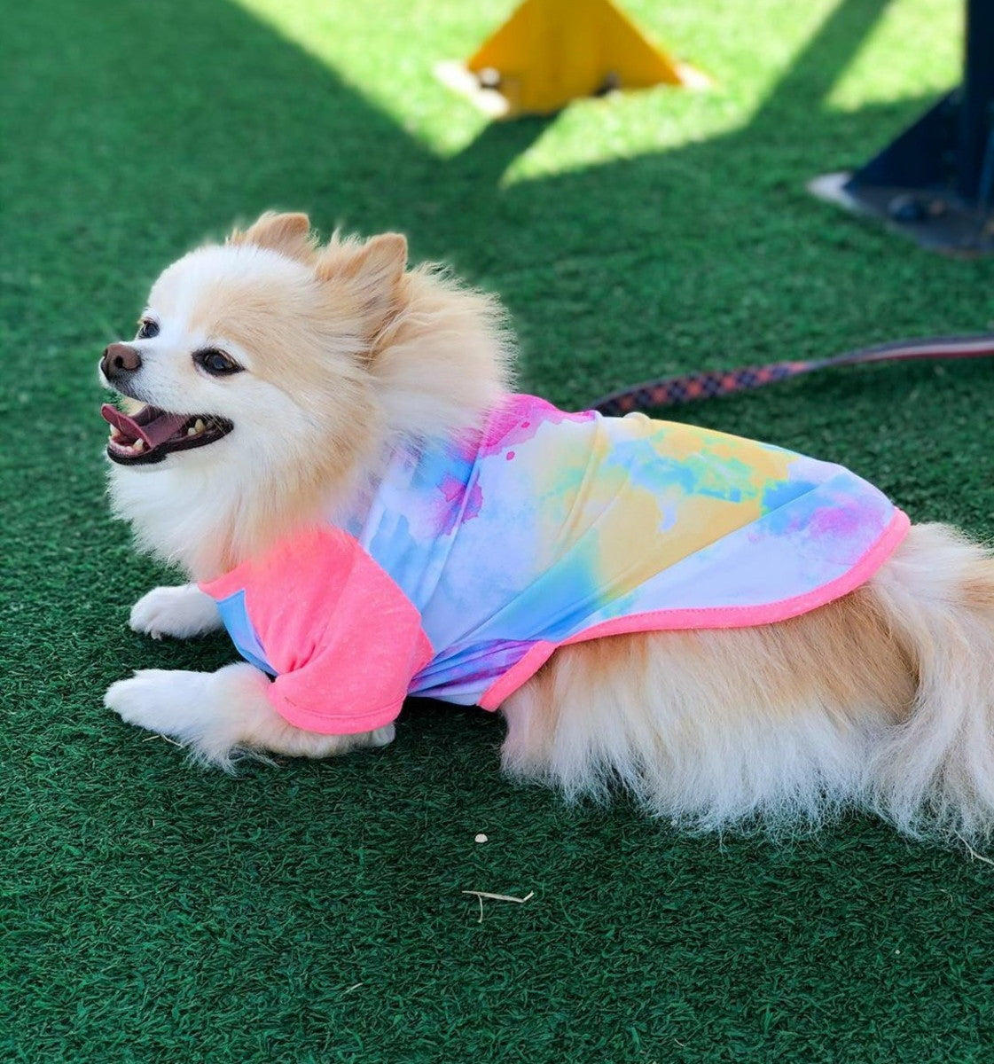 Camiseta para Cachorro Tie Dye Pericão PP