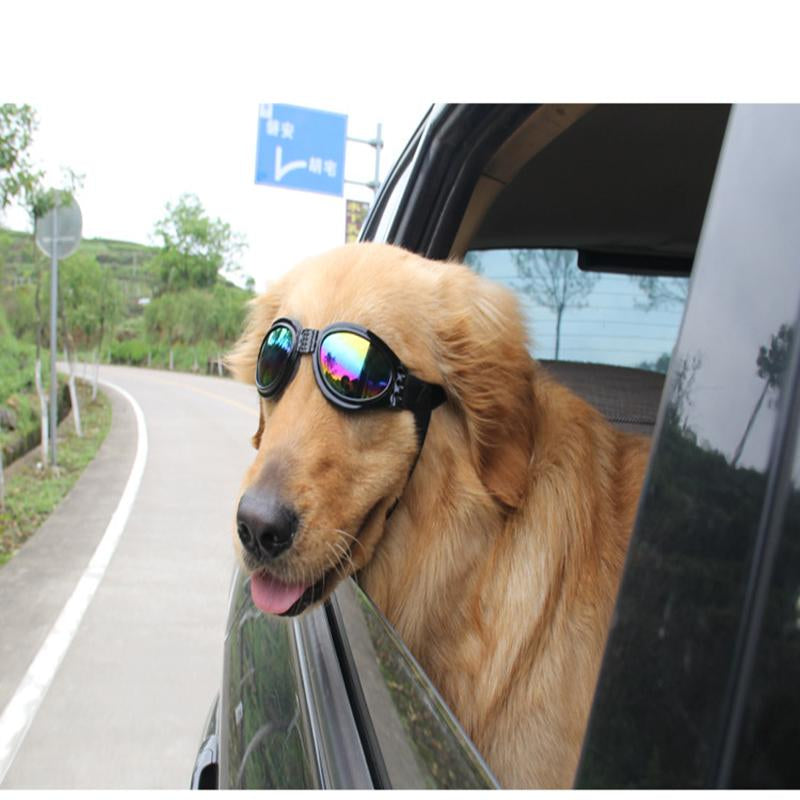 Óculos de Proteção para Cachorro